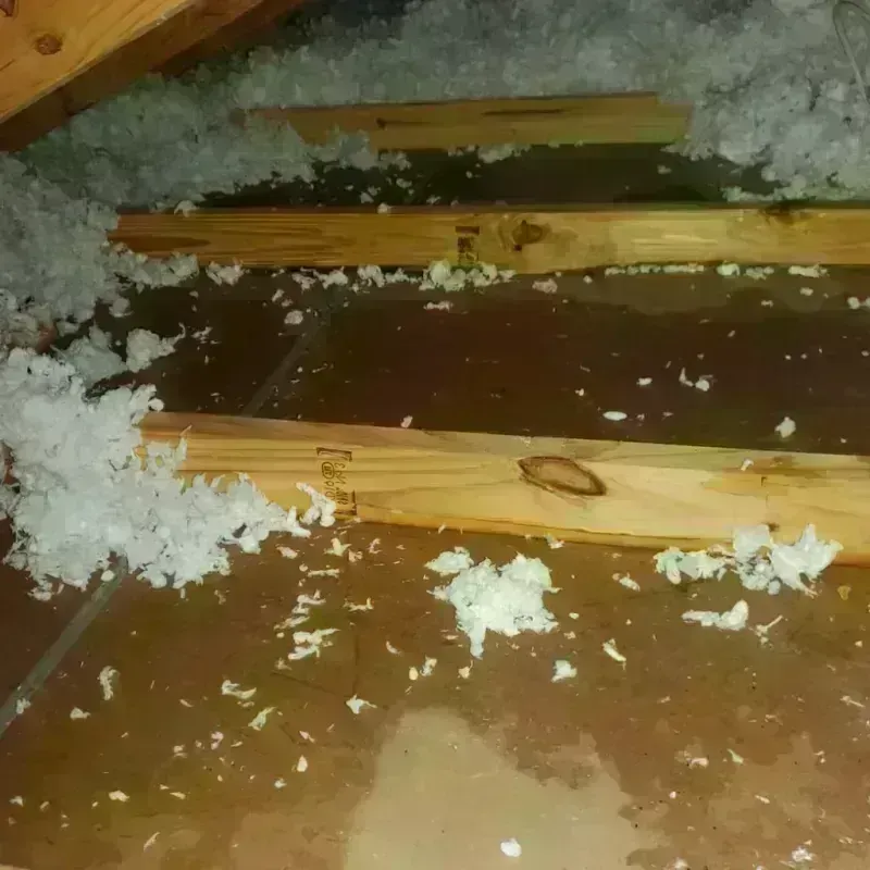 Attic Water Damage in Grays Harbor County, WA